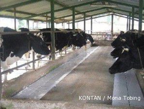 Fonterra bakal memangkas pembelian susu dari petani 10% pada Mei 2012