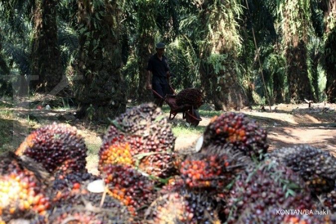 ASD Bakrie Oil Palm optimistis catat kinerja gemilang