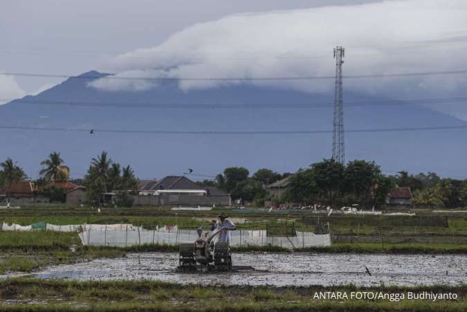 Menko Pangan: 3 Juta Hektar Lahan Sawah di Daerah Belum Ada Irigasi