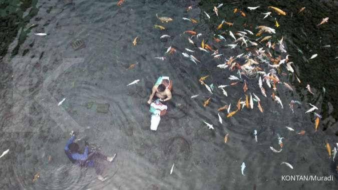 Cerita Sukses Dusun Sunyi yang Kini Menjadi Destinasi 