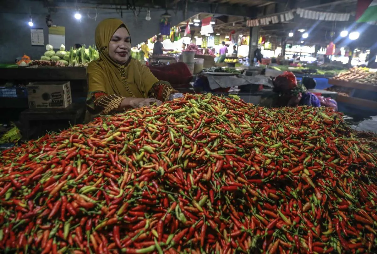 Kementan Pastikan Stok Cabai Hingga Bawang Merah Aman Sampai Nataru 2024.