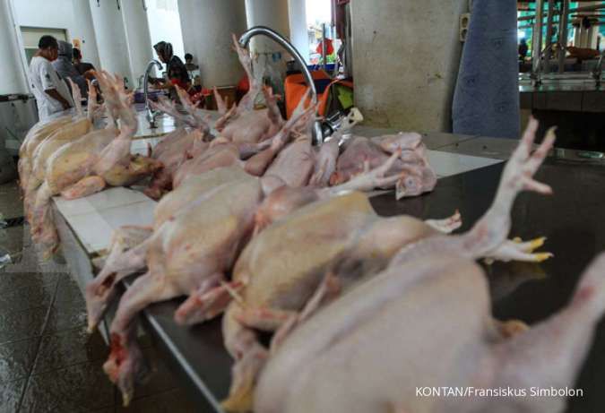 Daging ayam impor dari Brasil segera masuk Indonesia? Ini kata Kemendag