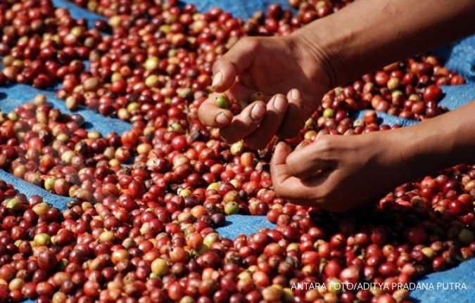 Ekspor kopi 2016 diperkirakan turun 15%