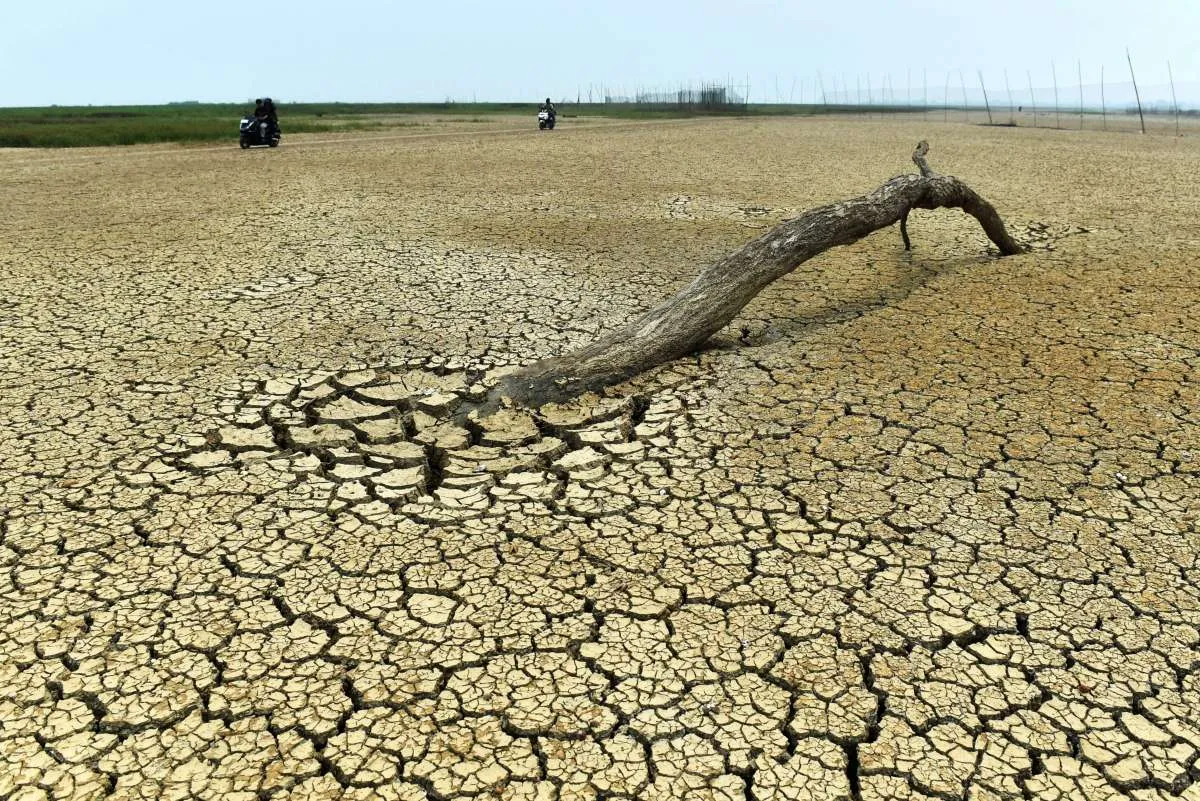 BMKG Beri Peringatan Dini Kekeringan Meteorologis, Daerah Ini Masuk Kategori Awas