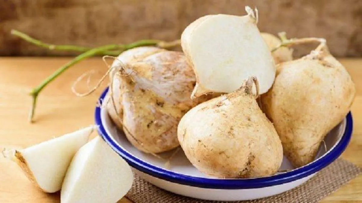 5 Manfaat Bengkuang Untuk Kesehatan yang Terbukti Klinis, Bisa Menurunkan Berat Badan
