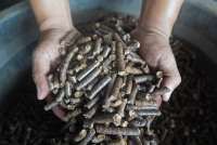 Pengusaha Soroti Black Campaign Wood Pellet, Ungkap Tantangan & Peluang Biomassa