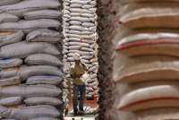 Beras Lokal Lebih Mahal Tiga Kali Lipat dari Impor