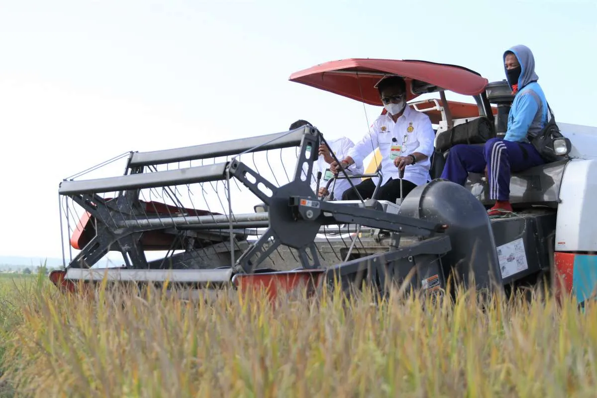 Kementan: Food estate tidak akan dibangun pada lahan gambut dalam dan sedang