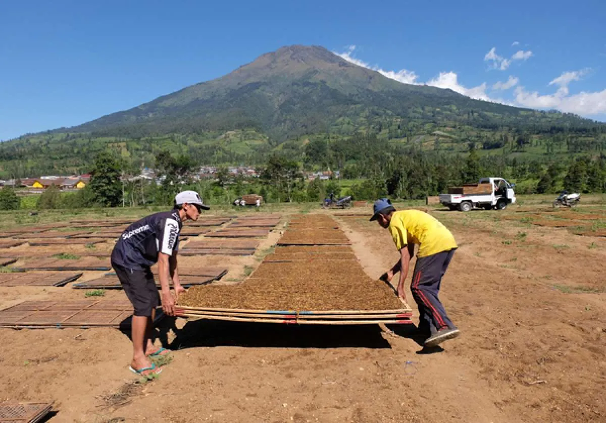 Gappri minta roadmap industri hasil tembakau (IHT) harus adil dan komprehensif