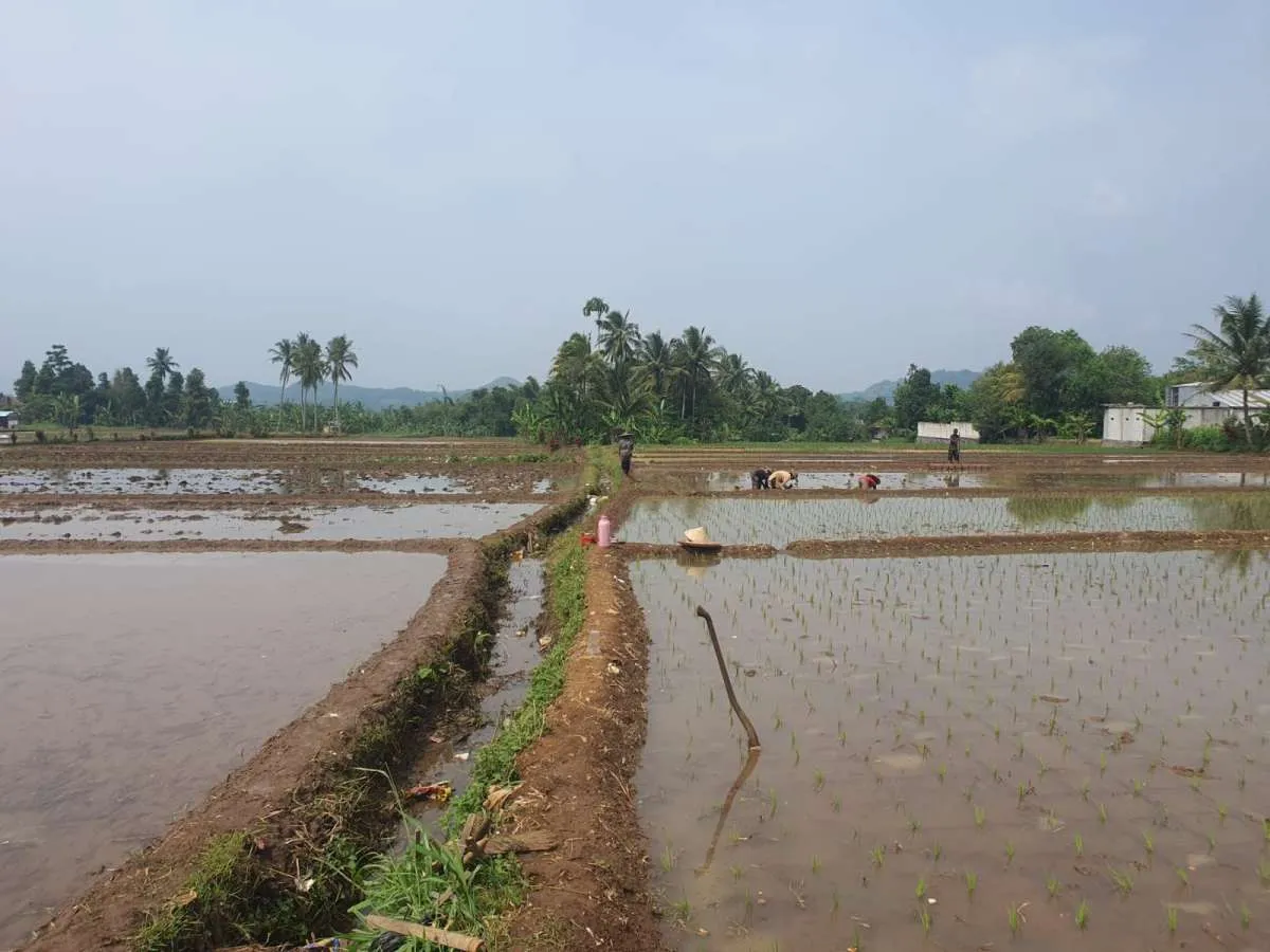 Sinergi Kementan dan BPS Wujudkan Satu Data Pertanian Kabupaten Sukabumi