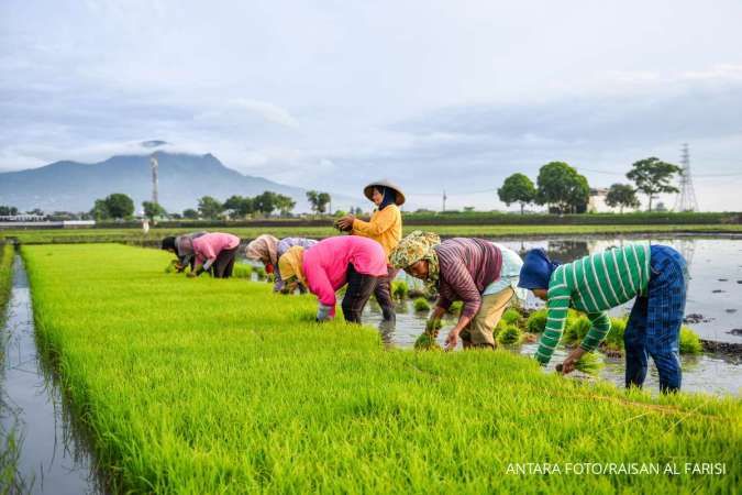 Pemerintah Pusat Ambil Alih Proyek Irigasi di Daerah