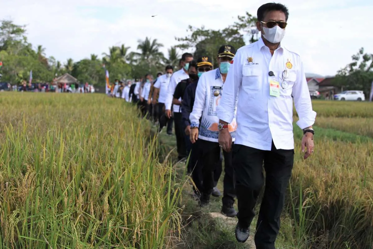 Optimalisasi peran kostratani dalam membangun pertanian Indonesia
