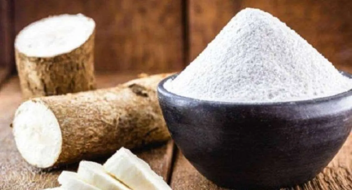 2 Alasan Tepung Singkong Baik dan Aman Dikonsumsi 