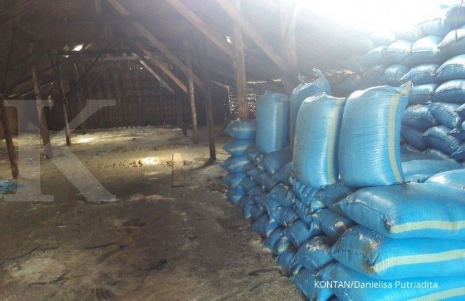Melongok tambak garam terbesar di Jateng (2)
