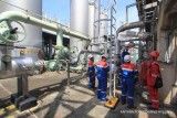 Jadestone dan Petrochina masih tertarik jadi mitra Pertamina di blok terminasi