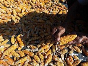 Persediaan di AS meningkat, harga komoditi dunia rontok