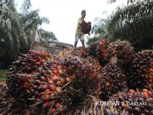 Perlambatan ekonomi global berpeluang menekan harga CPO