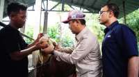 Saat Daya Beli Melemah, Korporasi Perkuat Penyaluran Kurban