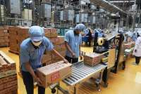 Dongkrak Pertumbuhan Kinerja, Mayora Indah (MYOR) Memperluas Jaringan Usaha