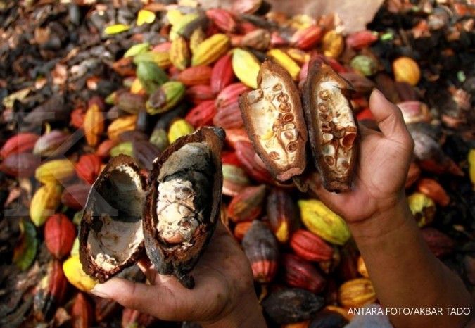 Ekspor kakao di sektor hulu dinilai masih punya potensi besar 
