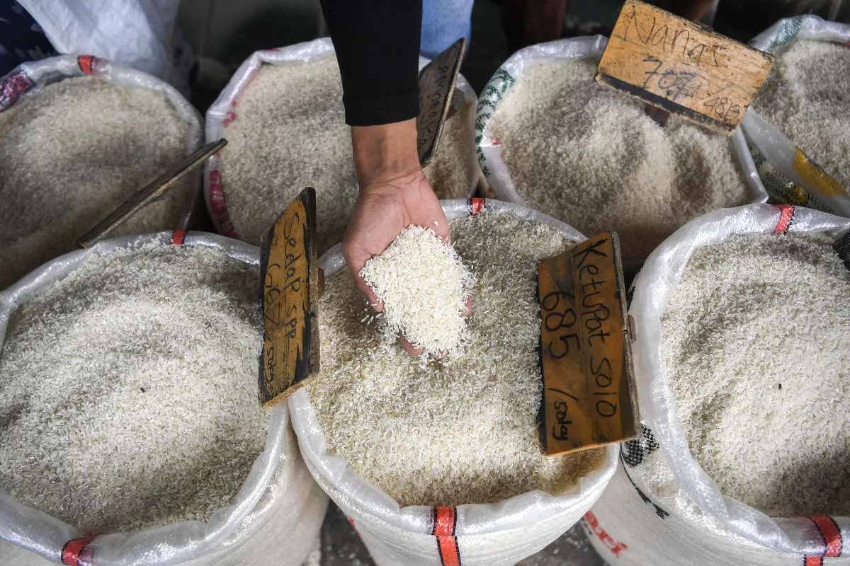 Amankan Stok Beras, Bapanas Naikkan HPP Gabah dan Beras Sementara