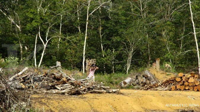  Dua dekade, 1,2 juta hektar hutan Indonesia rusak