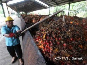 Indonesia kemungkinan akan mempertahankan BK CPO Juni di angka 17,5%