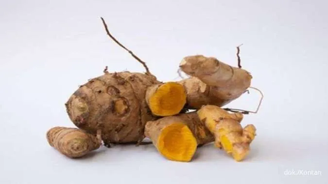 Manfaat Temulawak untuk Asam Lambung, Ulasannya Lengkapnya di Sini