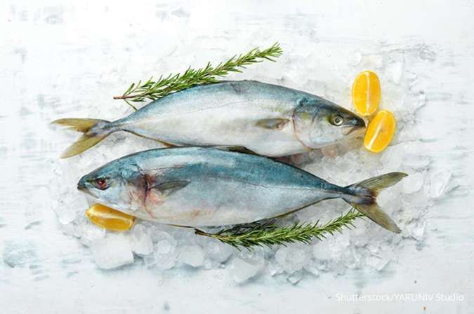 Konsumsi Ikan Tuna pada Pasien Asam Urat, Cek Tips Lengkapnya di Sini Ya! 