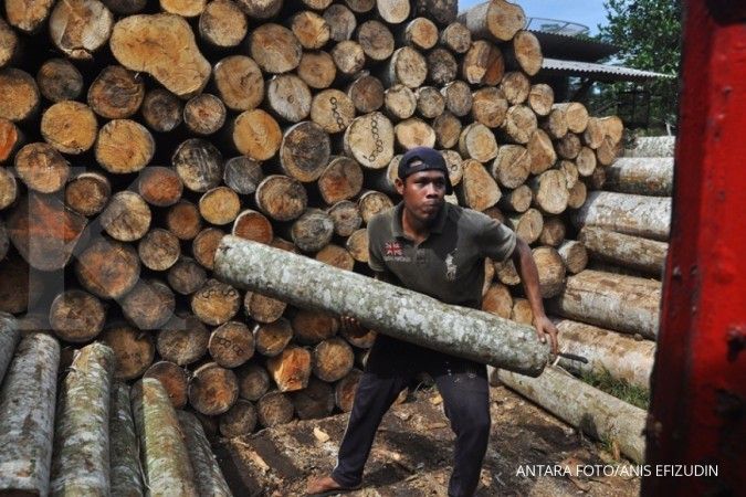 Korea Selatan minati limbah kayu sengon asal Indonesia