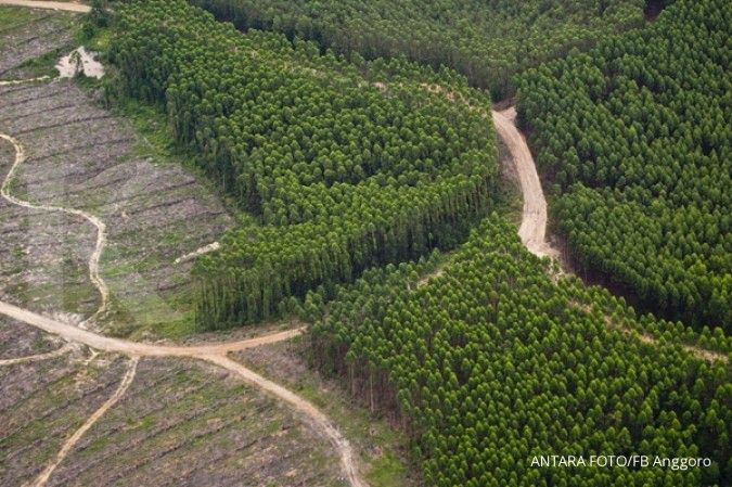 Industri HTI Riau terancam kekurangan bahan baku