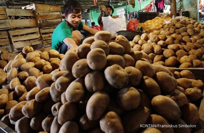 Harga kentang lokal tertekan kentang impor 