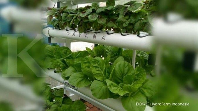 Merakit instalasi modul kebun hidroponik