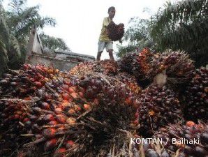 Harga CPO diramal bakal turun, saham-saham perkebunan dilanda aksi jual