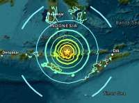 Gempa M 7,7 Guncang Flores NTT, BMKG: Berpotensi Tsunami