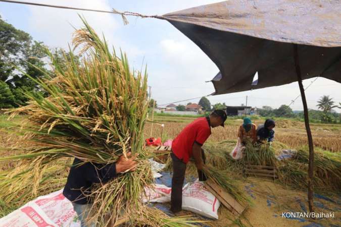 Jasindo Siap Sukseskan Program Pangan Nasional Lewat AUTP