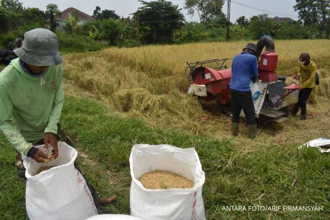 Harga Gabah Melonjak, Bulog Andalkan Skema Komersial Untuk Serap GKP dari Petani