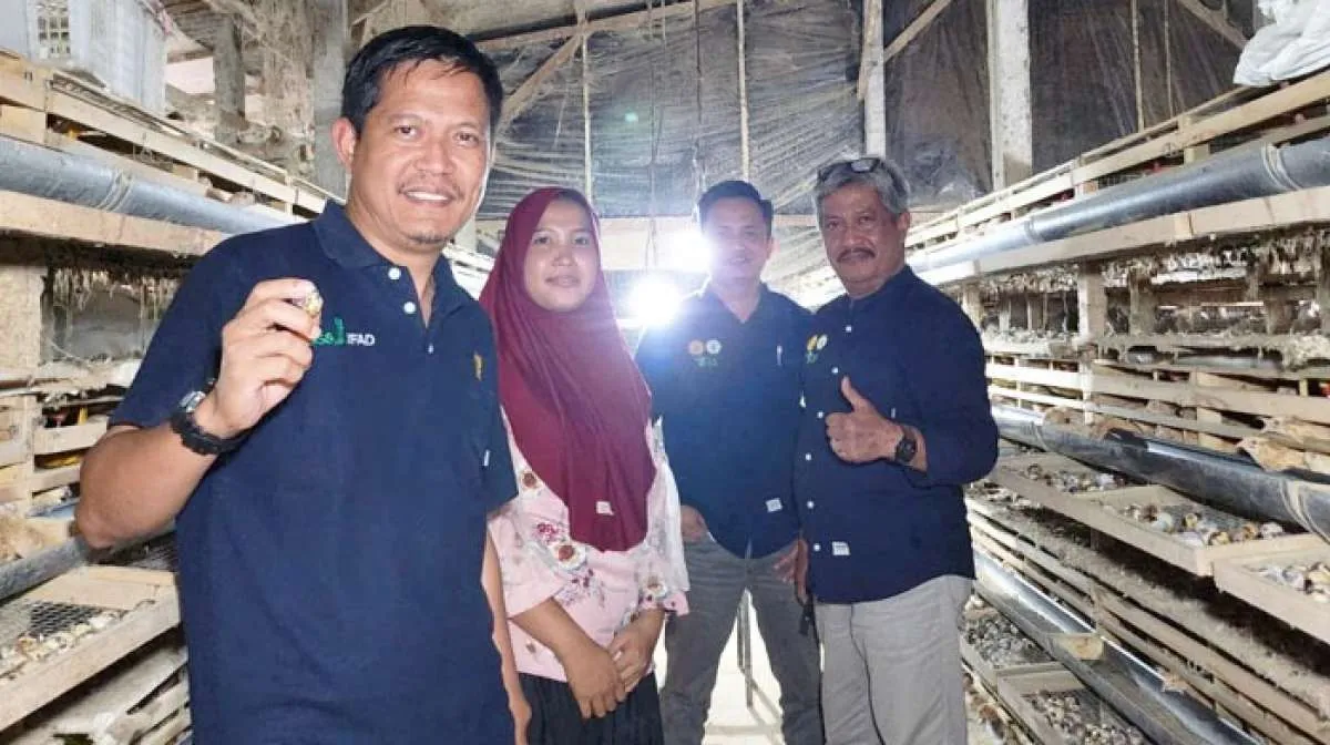Petani Milenial Tulungagung Sukses Budidaya Puyuh Hingga Ribuan Ekor