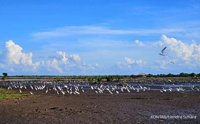 Prakiraan Cuaca Aceh Hari Ini Rabu (28/1): Sebagian Besar Wilayah akan Berawan