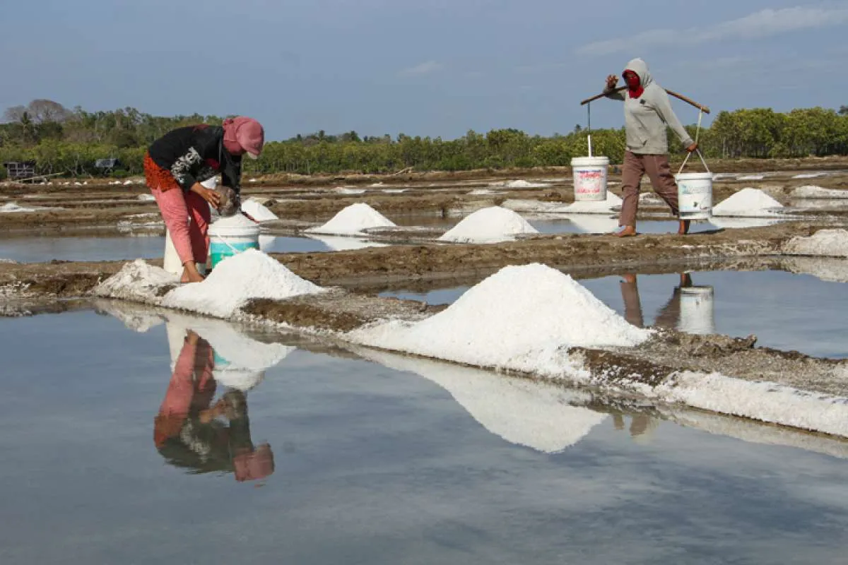 Produksi Garam Nasional Capai 2,5 Juta Ton pada Tahun 2023