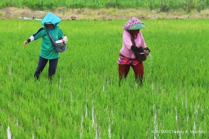 Petani Wajib Tahu, Ini Cara Baru Beli Pupuk Subsidi 2025, Harga Rp 2.000-an Per Kg