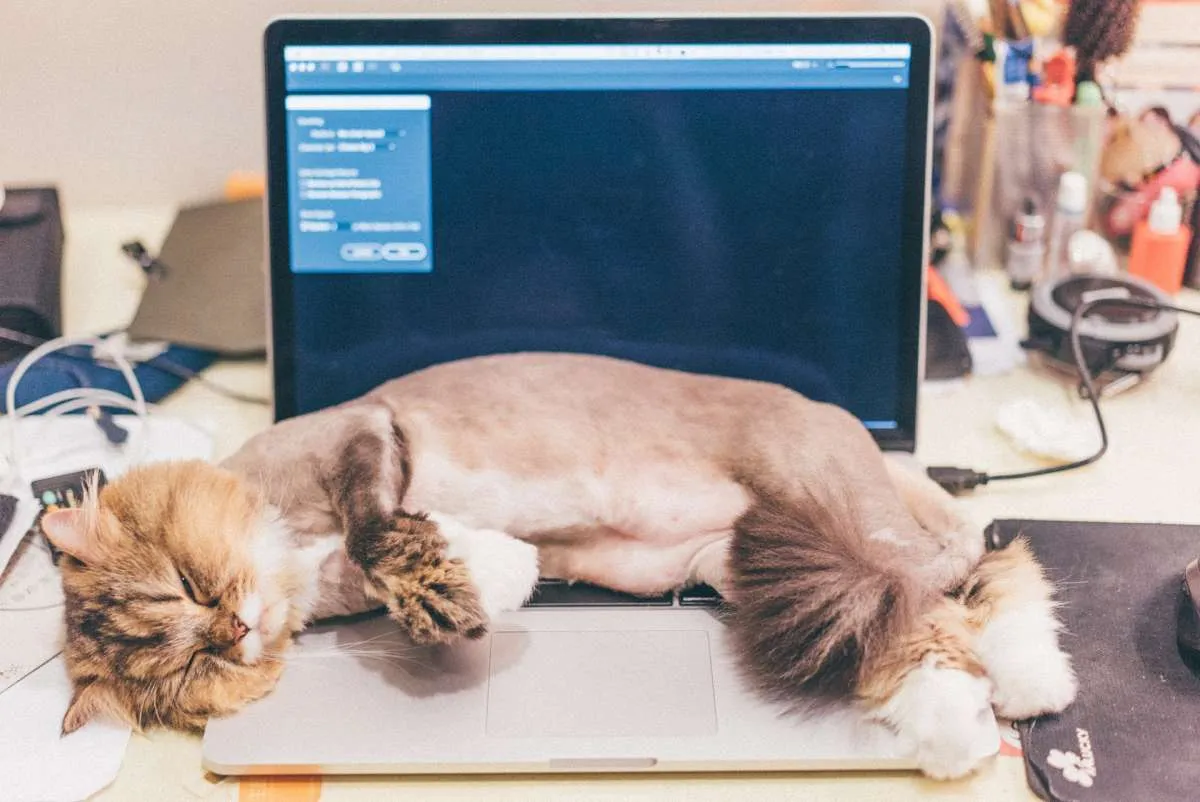 Ini 5 Penyebab Fan Mesin Laptop Berbunyi Kencang dan Solusinya