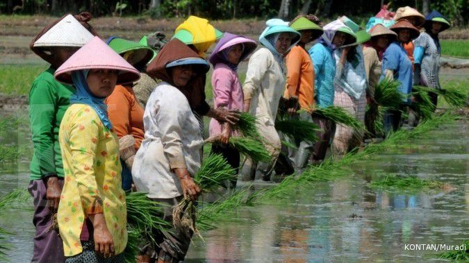 Tiap hektare sawah baru dapat Rp 10 juta