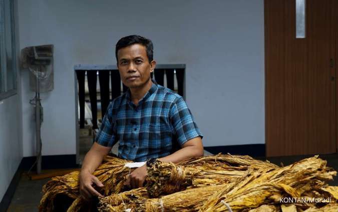 Melihat, Meraba dan Mencium, Kunci Menghasilkan Rokok yang Berkualitas