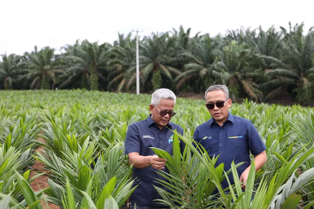 PTPN Inisiasi Program PSR Intercropping Padi Dukung Swasembada Pangan Nasional