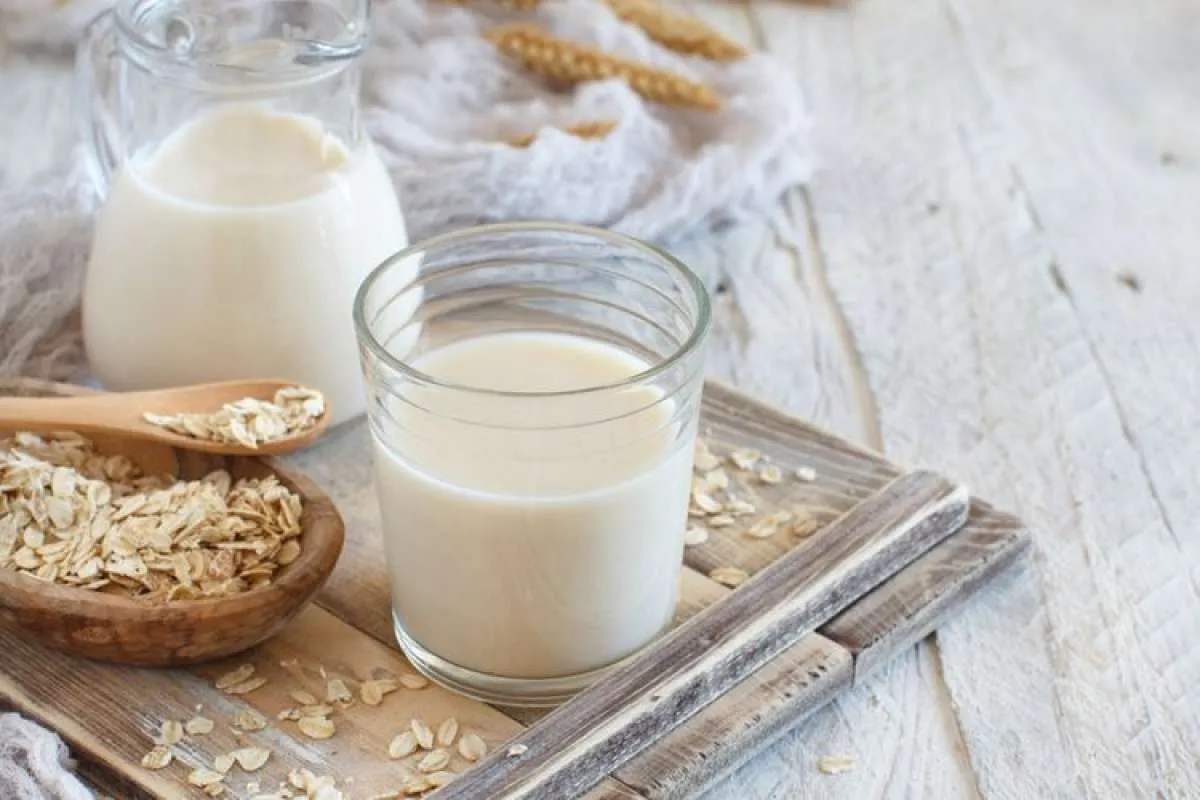 Sering Jadi Menu Puasa, Ini 4 Efek Samping Susu Oat jika Terlalu Sering Minum