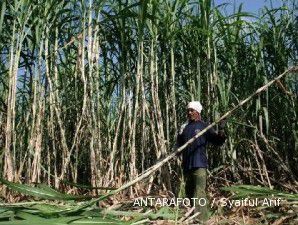 Perluasan lahan baru 25.000 hektare, swasembada gula nasional sulit tercapai