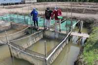 KKP Gandeng FAO Kembangkan Smart Fisheries Village di Sumsel