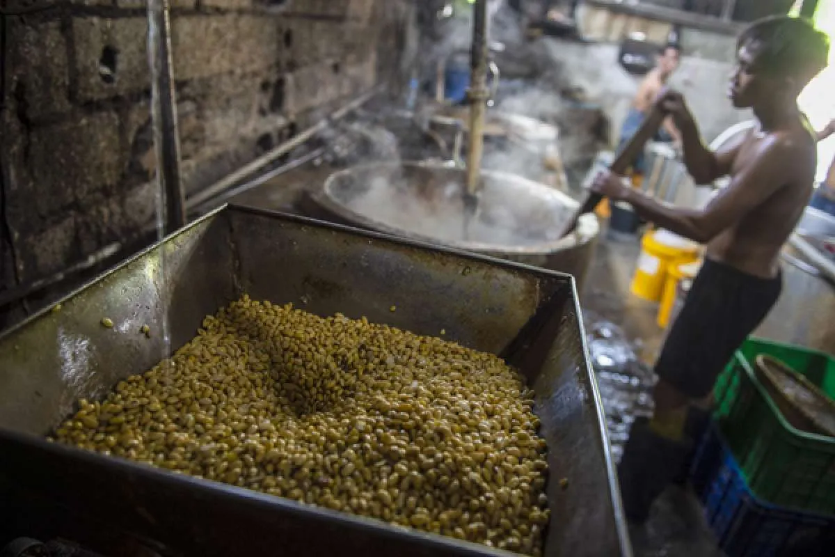 Harga kedelai global fluktuatif, Kemendag jamin harga tetap terjangkau