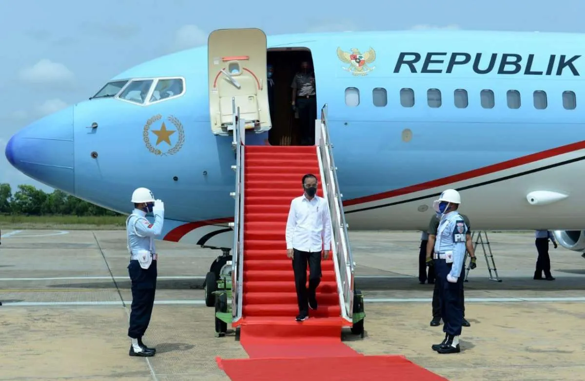 Presiden Jokowi tinjau panen padi di Indramayu